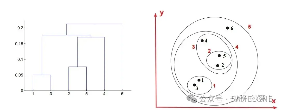 层次树建立过程