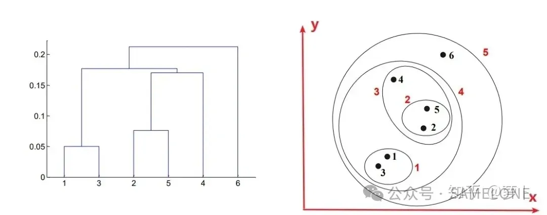 层次树建立过程