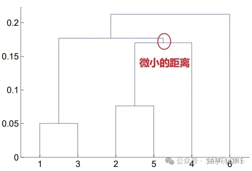 特殊分类情况分析