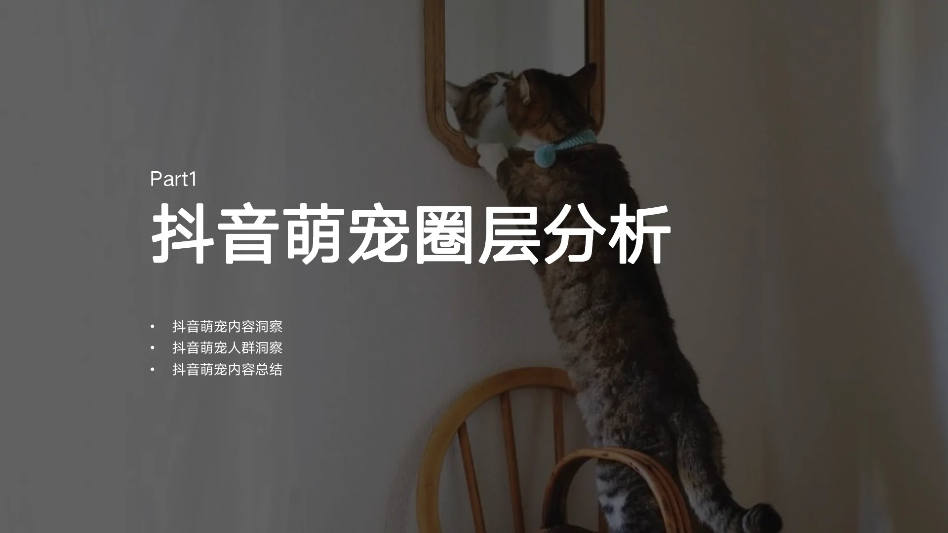 999感冒灵抖音萌宠圈层KOL内容营销方案｜第 6 页