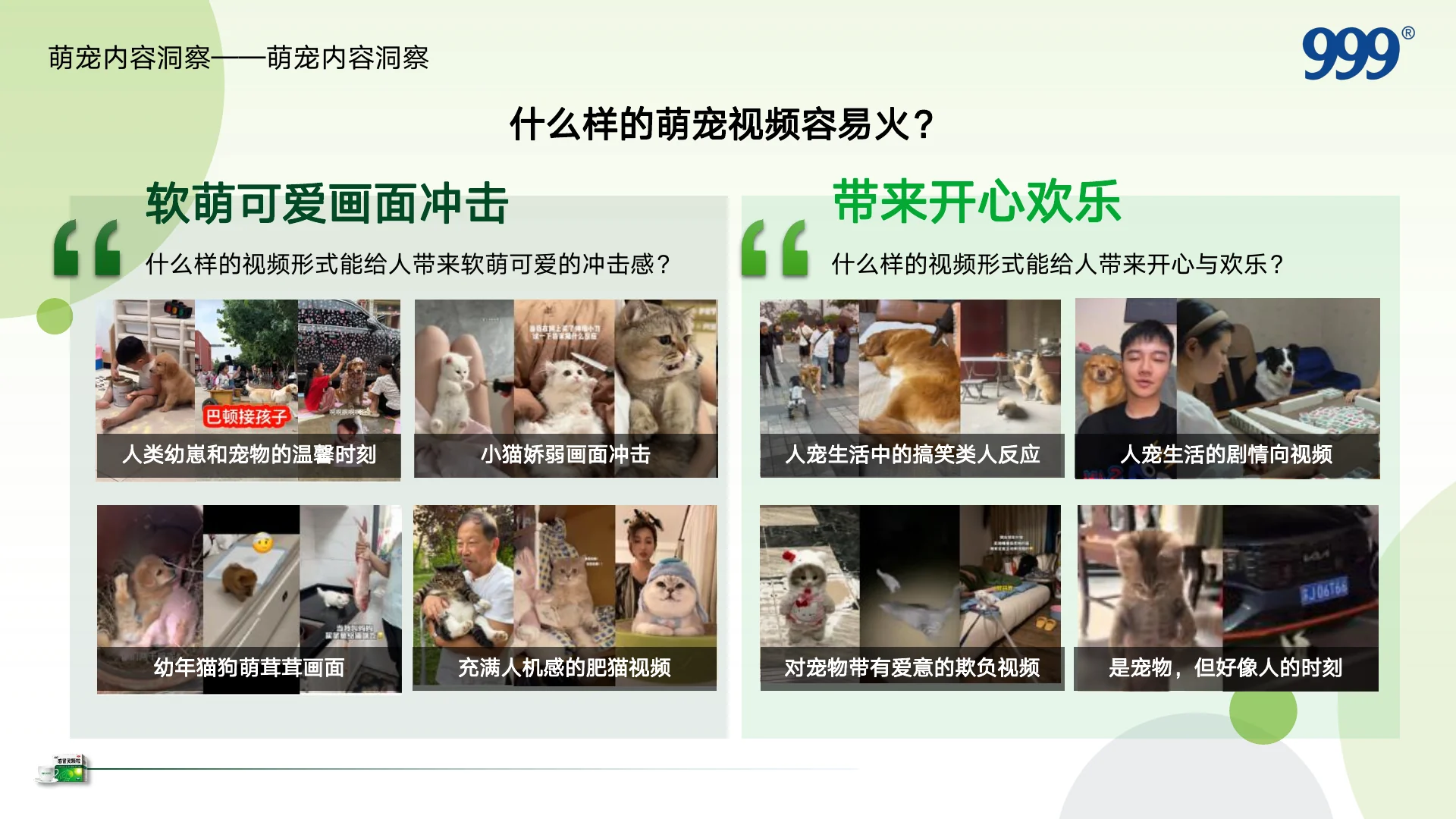 999感冒灵抖音萌宠圈层KOL内容营销方案｜第 10 页
