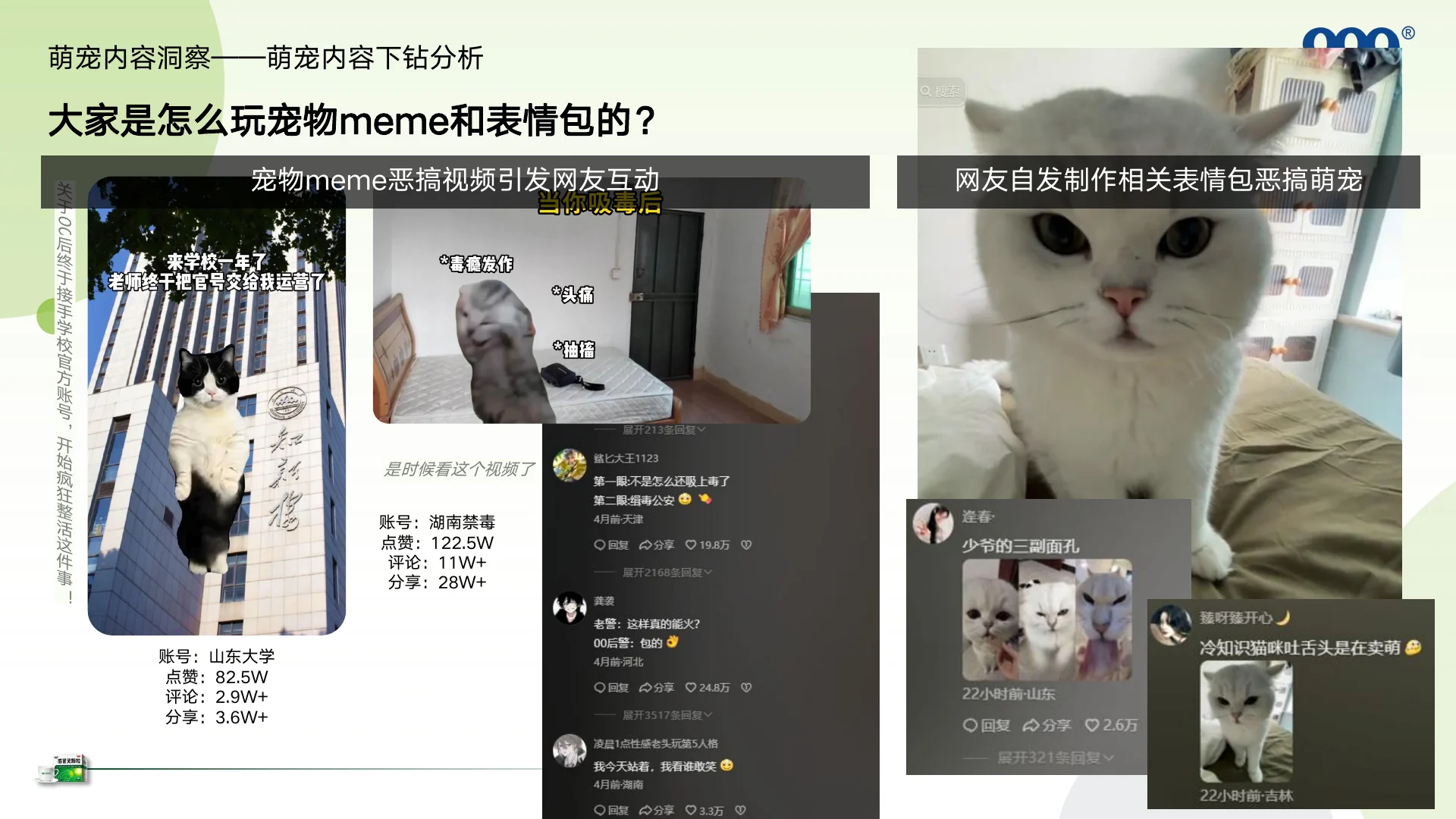 999感冒灵抖音萌宠圈层KOL内容营销方案｜第 13 页
